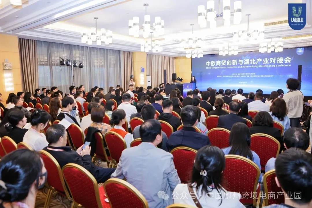 2025中国—北欧经贸合作论坛暨中欧商贸创新与湖北产业对接会圆满举办